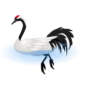 Red Crowned Crane